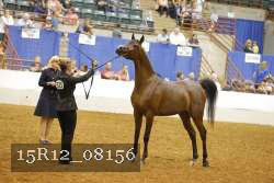 15R12_08156 thumbnail