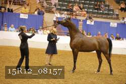 15R12_08157 thumbnail