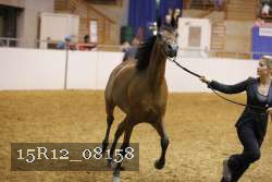 15R12_08158 thumbnail