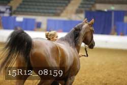 15R12_08159 thumbnail