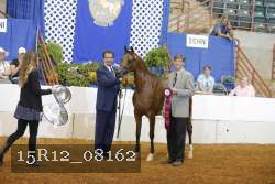 15R12_08162 thumbnail