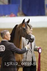 15R12_08164 thumbnail