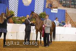 15R12_08165 thumbnail