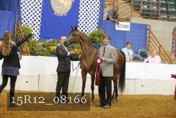 15R12_08166 thumbnail