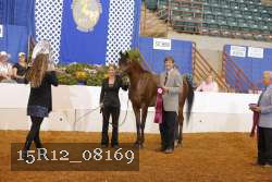 15R12_08169 thumbnail