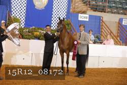 15R12_08172 thumbnail