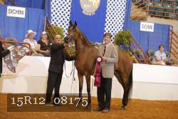 15R12_08175 thumbnail