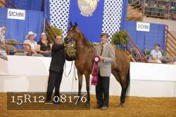 15R12_08176 thumbnail
