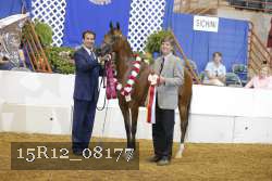 15R12_08177 thumbnail