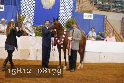 15R12_08179 thumbnail