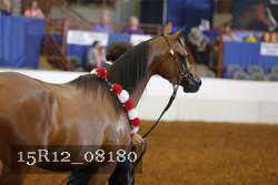 15R12_08180 thumbnail