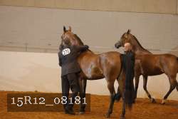 15R12_08181 thumbnail