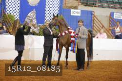 15R12_08185 thumbnail