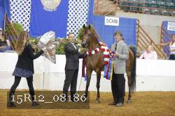 15R12_08186 thumbnail