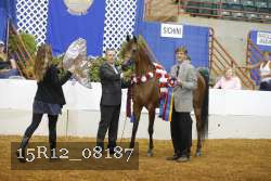 15R12_08187 thumbnail