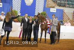 15R12_08190 thumbnail