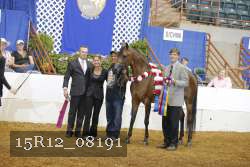 15R12_08191 thumbnail