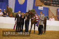 15R12_08192 thumbnail