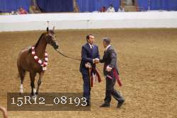 15R12_08193 thumbnail