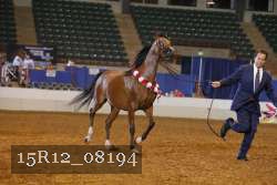 15R12_08194 thumbnail