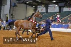 15R12_08195 thumbnail
