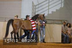 15R12_08206 thumbnail