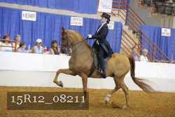 15R12_08211 thumbnail