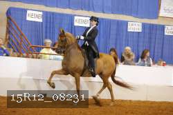 15R12_08231 thumbnail