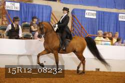 15R12_08232 thumbnail
