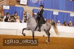 15R12_08233 thumbnail