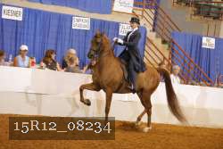 15R12_08234 thumbnail