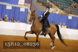 15R12_08236 thumbnail