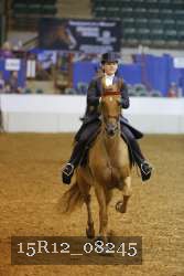 15R12_08245 thumbnail