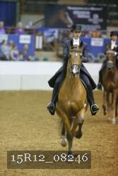 15R12_08246 thumbnail