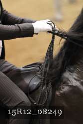 15R12_08249 thumbnail
