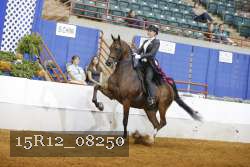15R12_08250 thumbnail