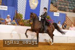 15R12_08251 thumbnail