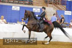 15R12_08252 thumbnail