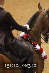 15R12_08342 thumbnail