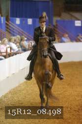 15R12_08498 thumbnail