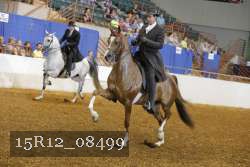 15R12_08499 thumbnail