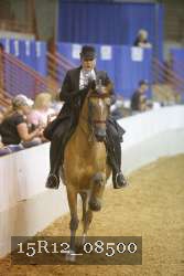 15R12_08500 thumbnail