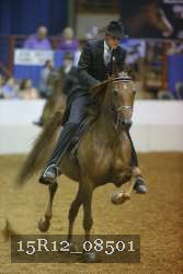 15R12_08501 thumbnail