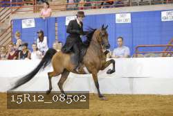 15R12_08502 thumbnail