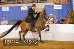 15R12_08503 thumbnail