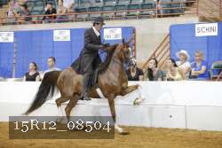 15R12_08504 thumbnail