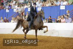 15R12_08505 thumbnail