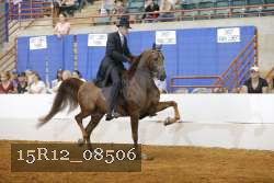 15R12_08506 thumbnail