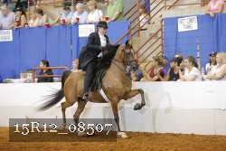15R12_08507 thumbnail