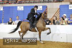 15R12_08508 thumbnail